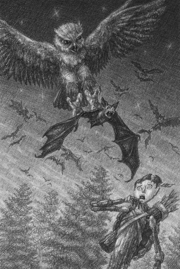 Owls help protect Cardboard Man from the bats